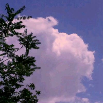 乐鱼竞彩官网手机app下载